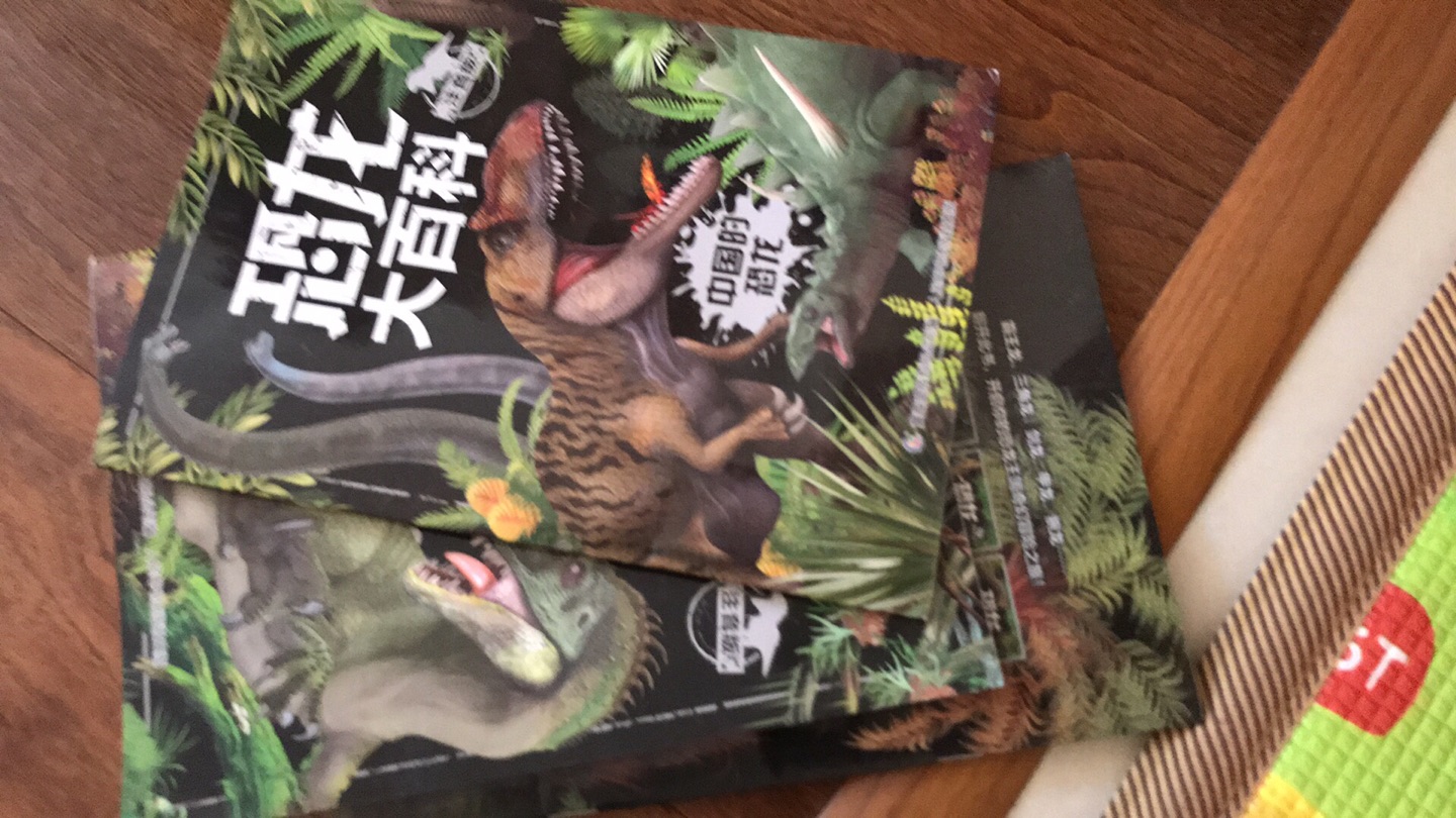 这套恐龙大百科非常适合3~4岁的宝宝特别有意思，儿子把书上的恐龙名字全都记下来了