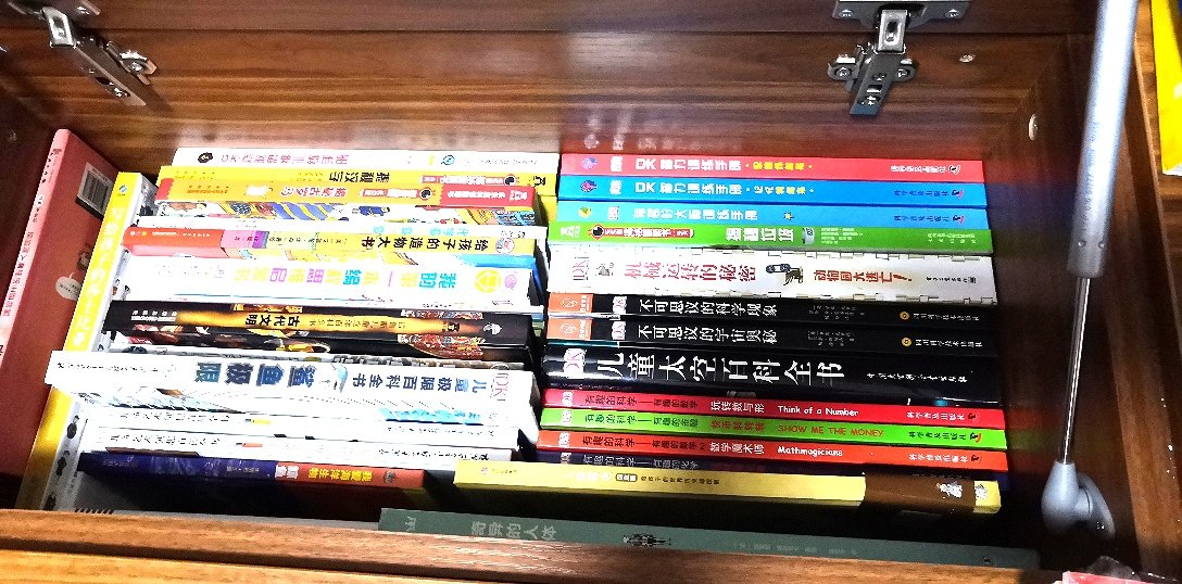DK系列真的是十分值得买的，只要有活动，我就会买买买，或许现在用不上，但不久后就会用得上的。话说买书是最最便宜的教育投资，自己也可以跟着一起学一遍，弥补一下小时候缺书看的遗憾，希望孩子能从各种各样的书中汲取不同的营养，同时也享受书籍带来的快乐