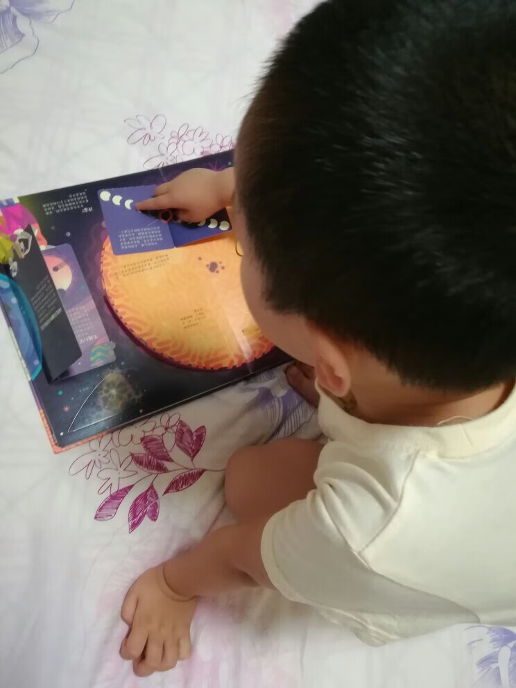 娃看了一套视频，刚好再结合这本书，当小老师给爸爸讲