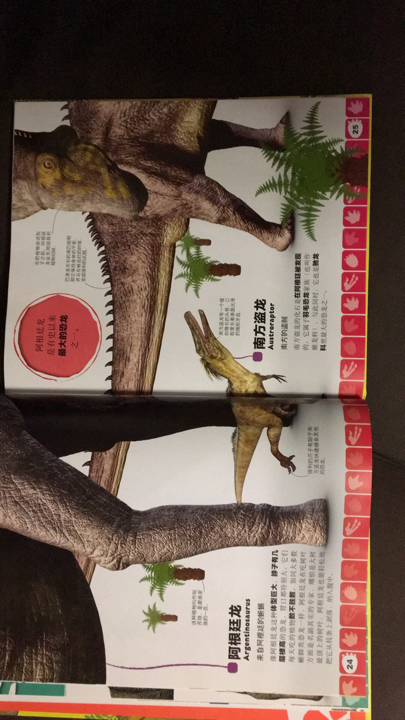 这本也是DK恐龙的书，还送一张大海报，赞??