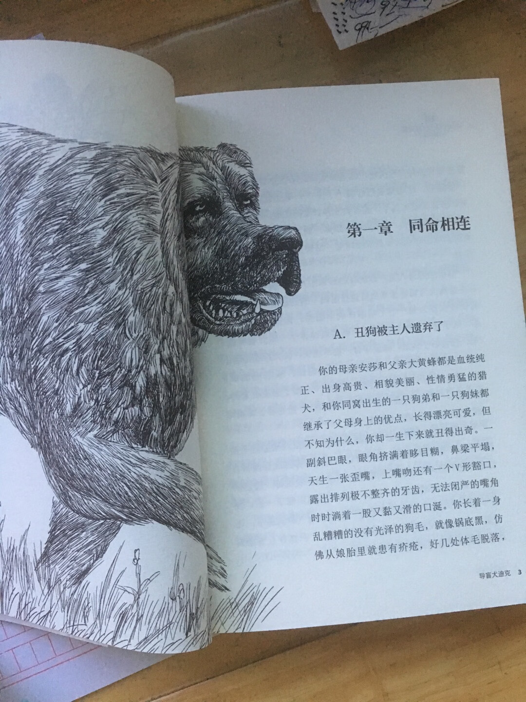 沈石溪的小说都是经典，儿子本本都爱不释手，这本书主要讲了一只一出生就很难看，大家都鄙视他，最后成了一只野狗，后来遇上了小盲人，成了他的导盲犬，他的主人给他起了个名字叫迪克，于是，一系列的感人的故事就由此展开了。