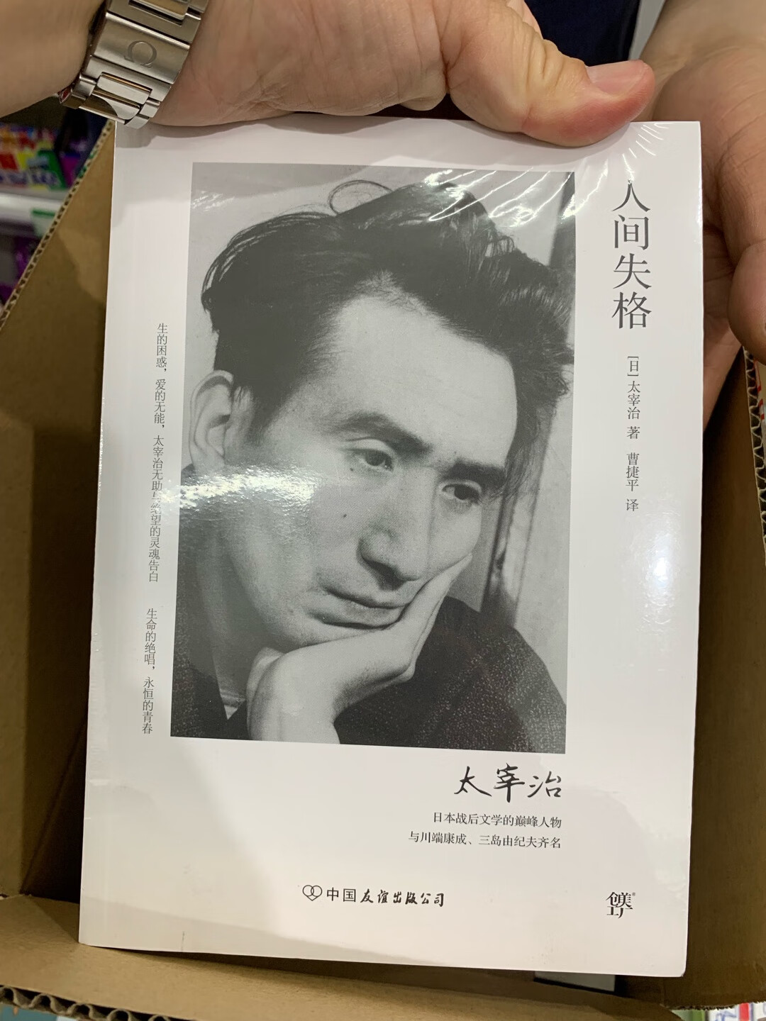 99十本居然下重了两个不同版本的，就当对比一下那个版本翻译的更好些吧……