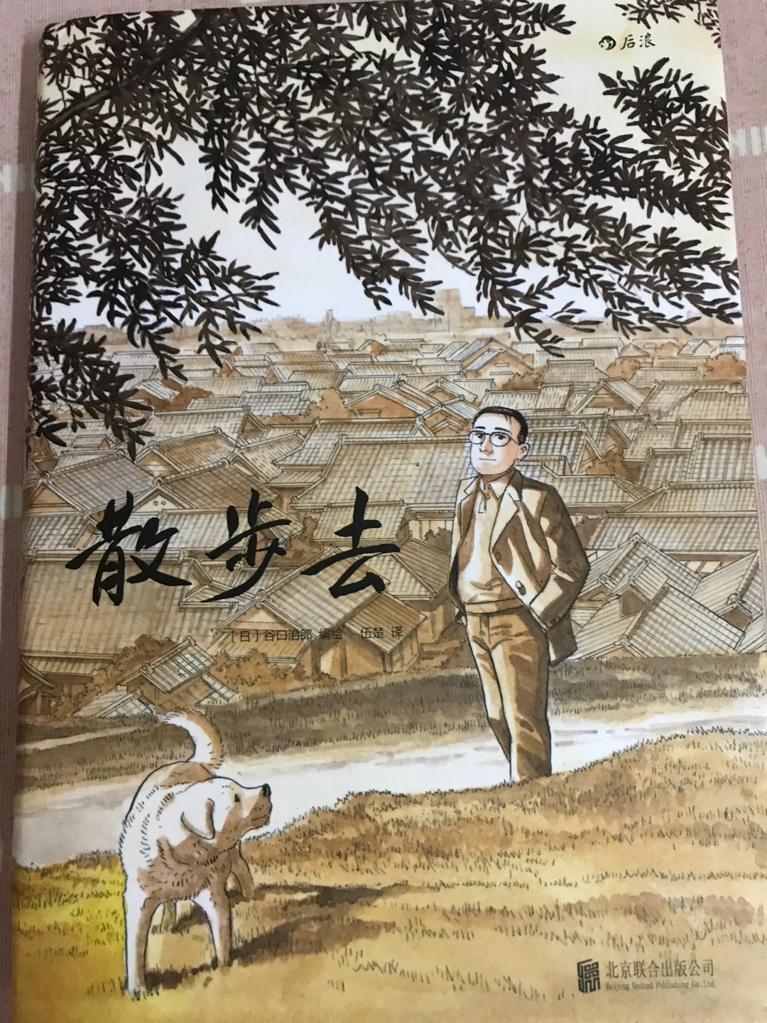 算了一下，在买了七、八十本书了！这本漫画我看了两遍，最后那几页不太理解表达的内容。