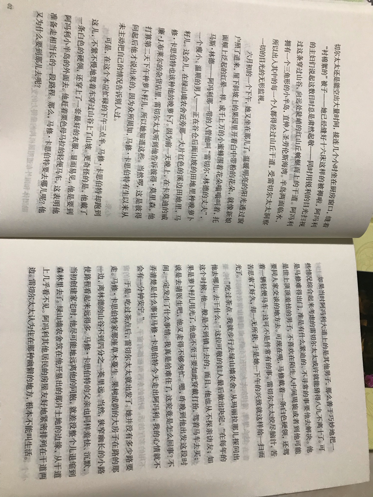 很久前便喜欢上了这本小说。千万不要以为它只是本适合小朋友看的书！它适合任何年龄层，书中描述了从小孤苦的红发少女安妮11岁来到爱德华王子岛上的绿山墙农庄，被农庄的主人马修和玛丽拉兄妹收养的故事。安妮善良，真诚，倔强，冲动，说个不停，有许多小缺点，但是也确实可爱，她跟戴安娜的友情或者跟吉尔伯特的竞争，都特别有戏。真的是一本百读不厌的好书！