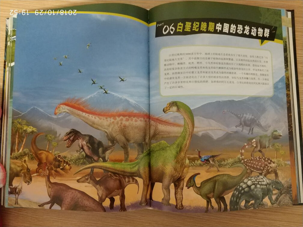 硬皮封面，全彩页，铜版纸，砖头一样的中国恐龙百科全书犹如一本中国恐龙大字典！150余种中国恐龙的“明星”档案一一呈现，为你完全揭秘各种中国恐龙的所有奥秘，将一幅幅史前时代的画卷展现在你的面前。