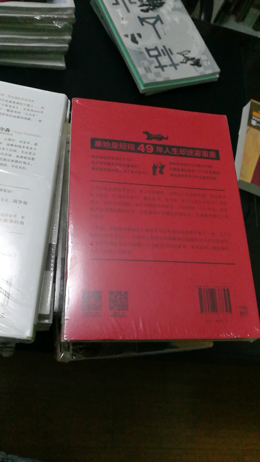 个人对秦朝的历史比较感兴趣。这本书的介绍也很吸引人。