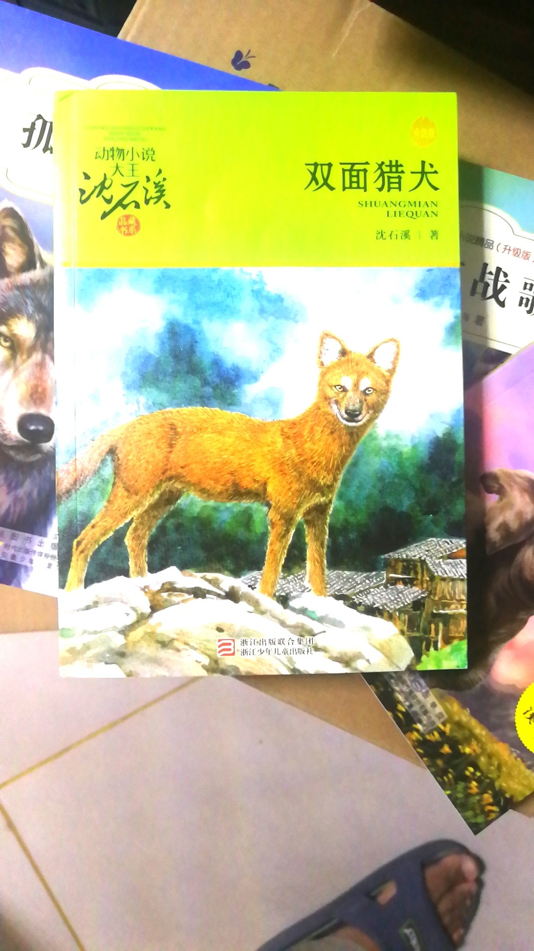 双面猎犬，混血豺王，姊妹篇，这次全了