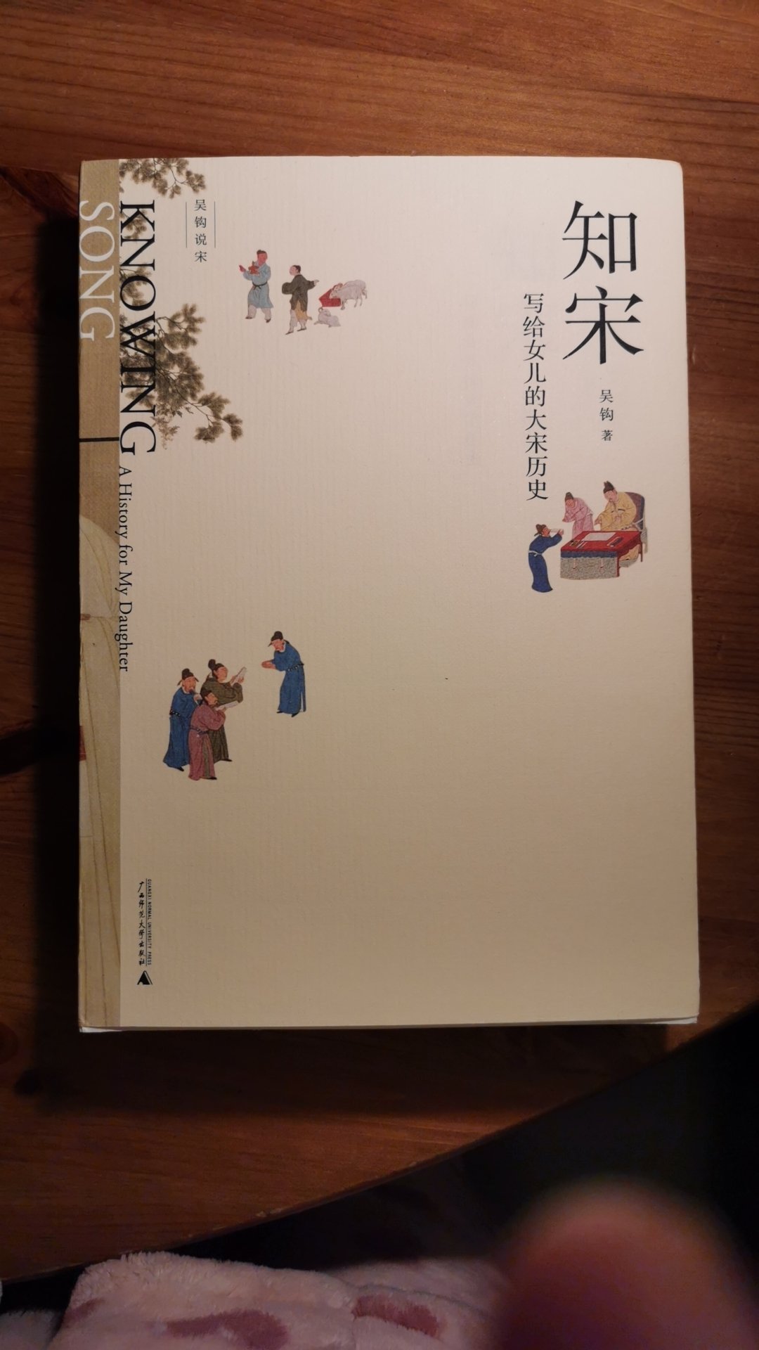漂亮的一本小书，宋朝的历史，我很感兴趣，准备有时间在五一假期认真的读一读
