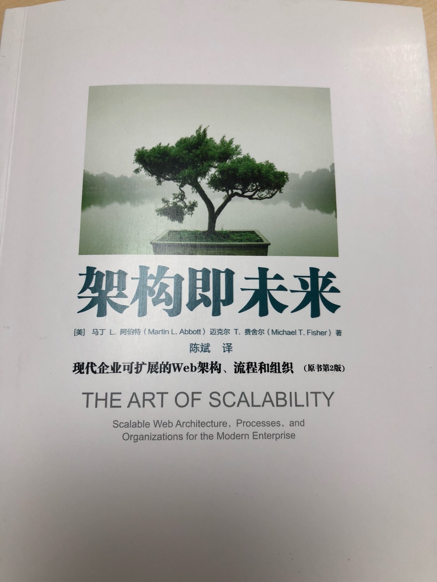 翻译名很酷炫 架构即未来 原书名很接地气 the art of scalability