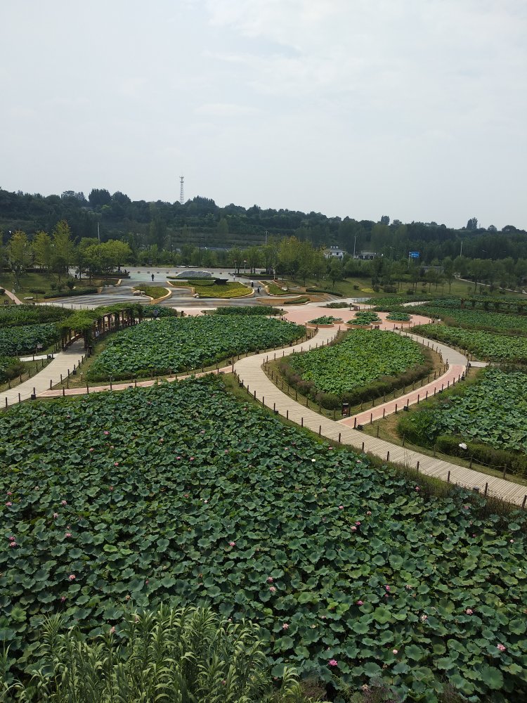 东西很好，快递速度也很好，买回来很实用，棒棒的