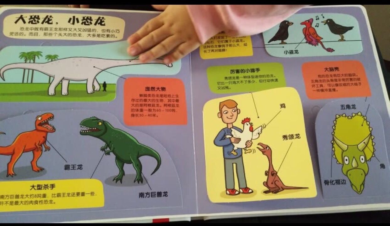 小朋友对恐龙都很感兴趣，很是喜欢，看了好几遍都不腻