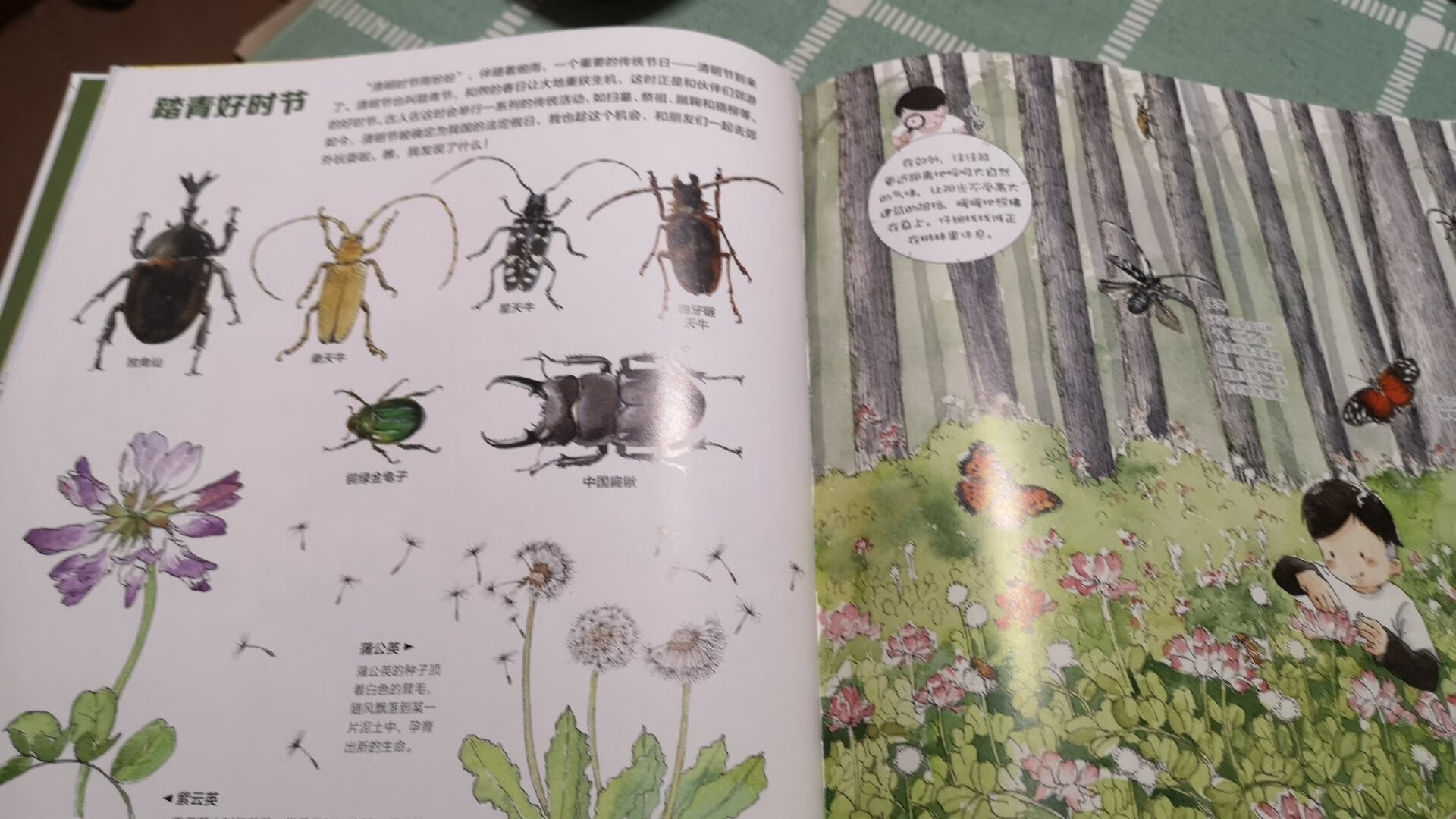 物流很快，隔天就到。这本书很适合中国小朋友阅读，按照春夏秋冬不同节气为时间线，介绍中国的动植物，身边的大自然。