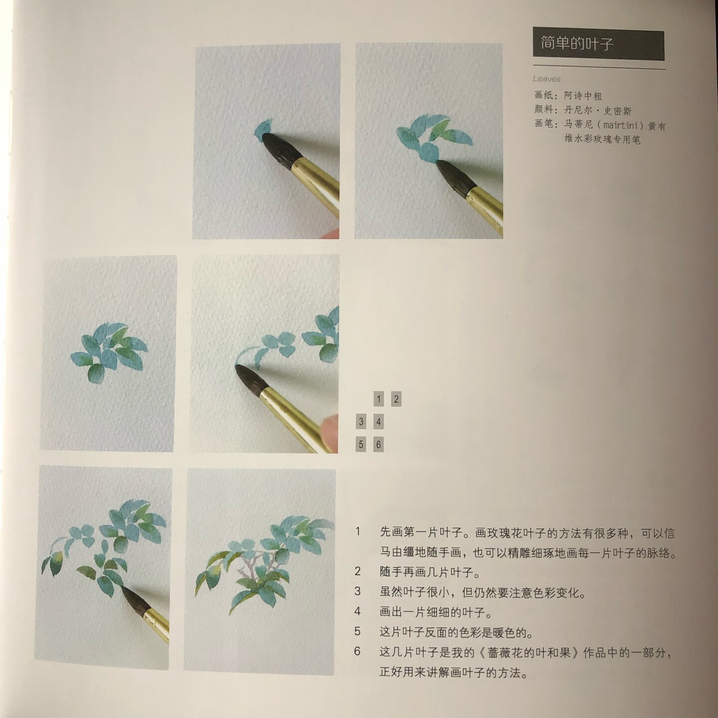 有塑封。有步骤解析。  希望也能画出美美的玫瑰花。