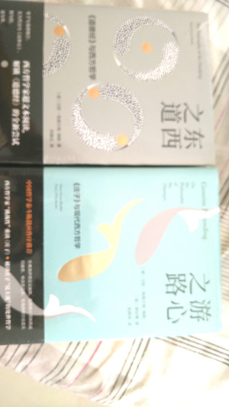 这两本书非常小，也可以看看西方人对中国哲学的认知。