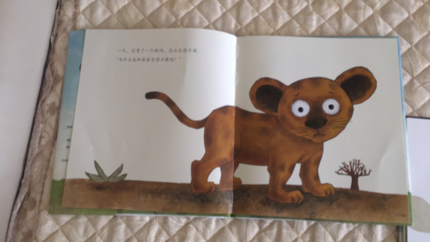 挺惊喜的绘本，凑单买的，孩子很喜欢看，知道小狮子的名字，最喜欢里面的羊宝宝，画风简单，满意