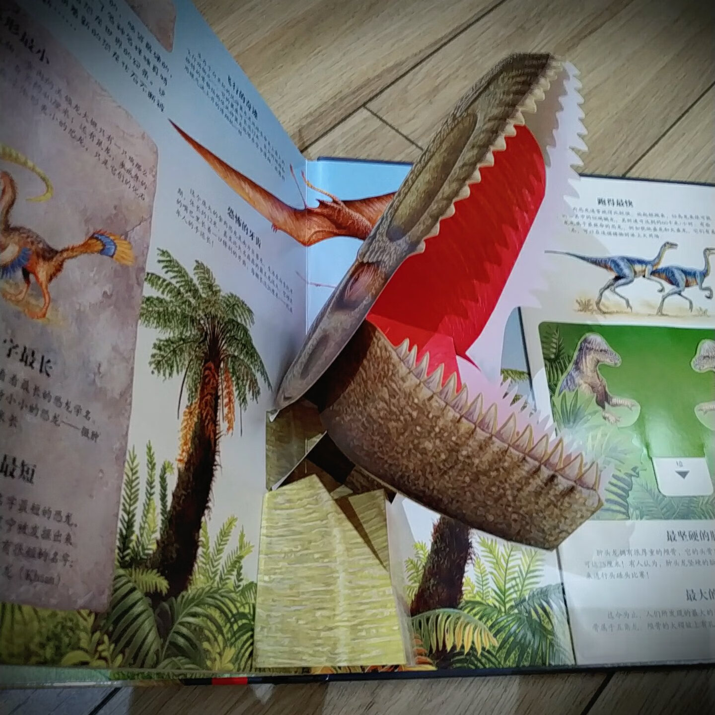 女儿是个小小恐龙迷，之前买的恐龙大陆系列已经翻烂了。这次做活动给她的书架更新一批书。