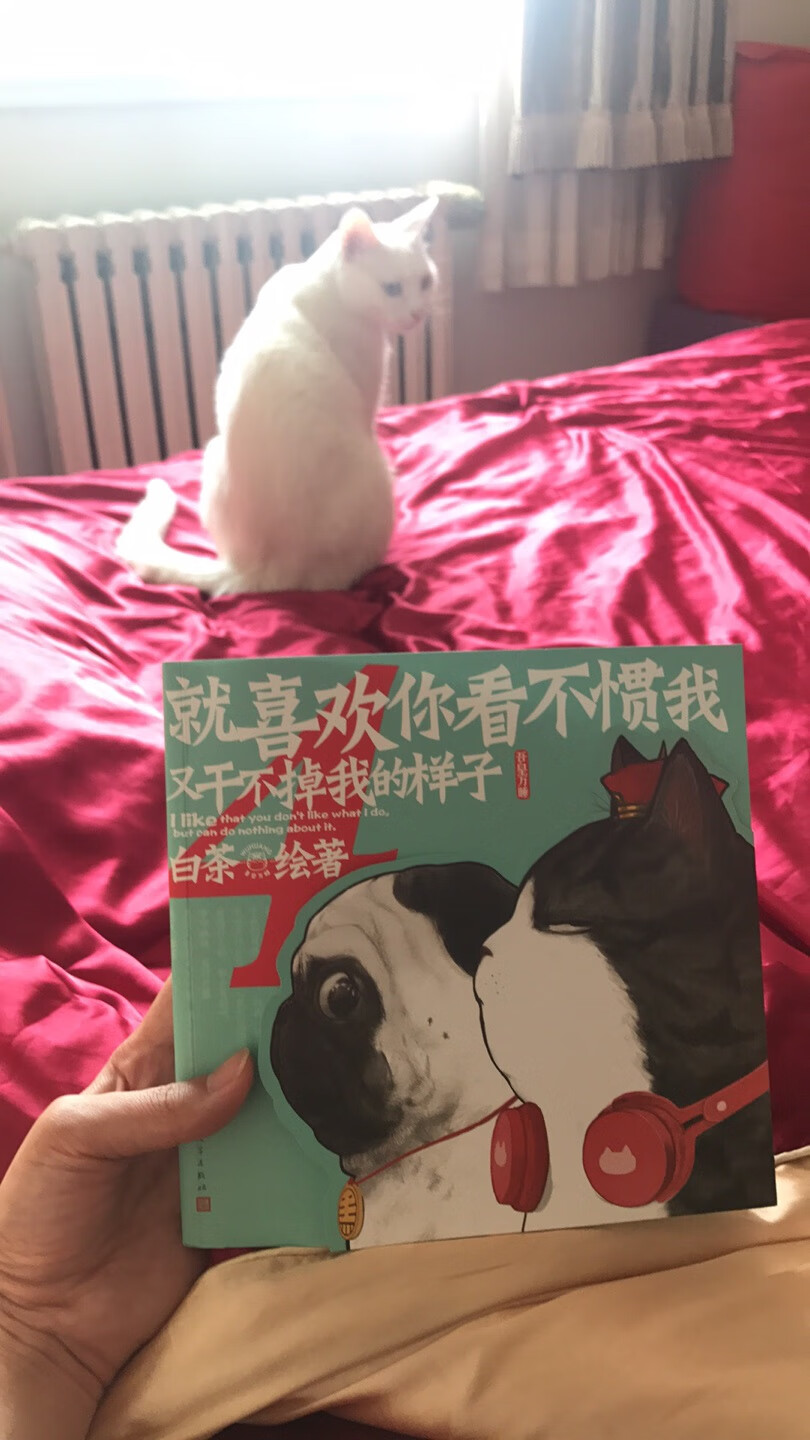 已经买了第四本了，虽然一直没时间看，但还是很喜欢，会继续粉下去的！