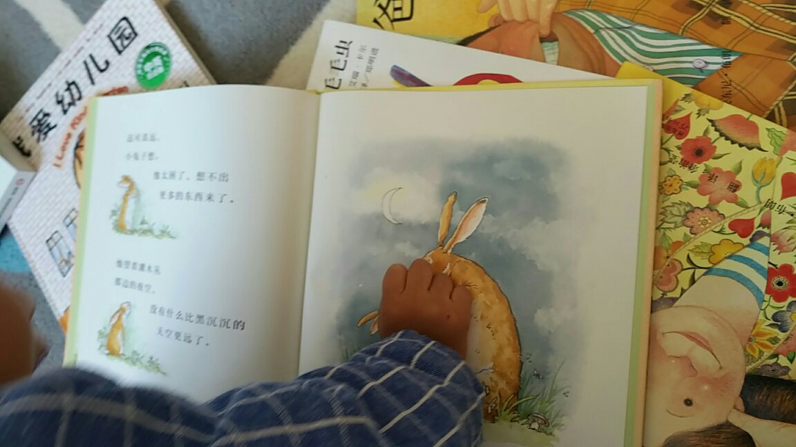 刚收到书每一本小朋友都有翻看，看来以后得多买书来给宝宝看啦