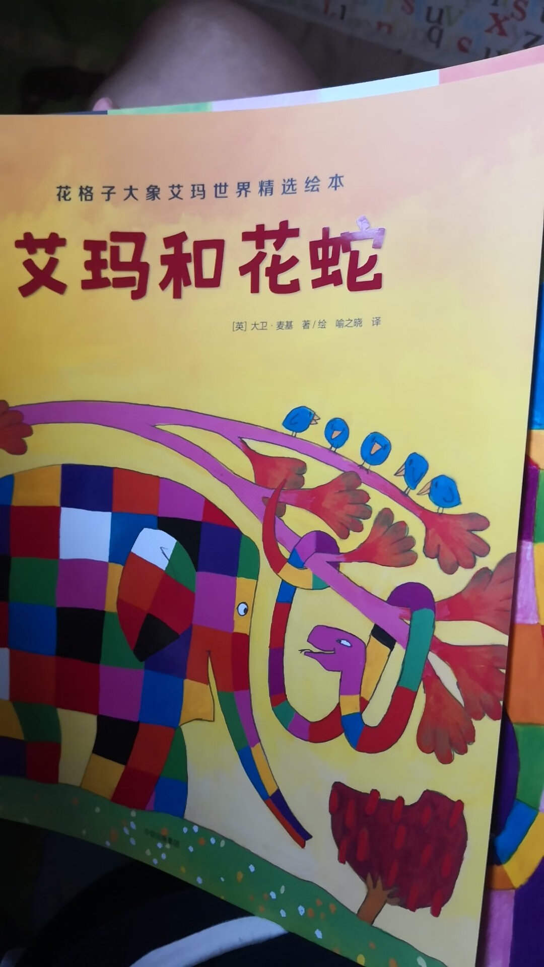 大象艾玛是一套特别有趣的书，一个与众不同的大象带来了很多不一样的故事
