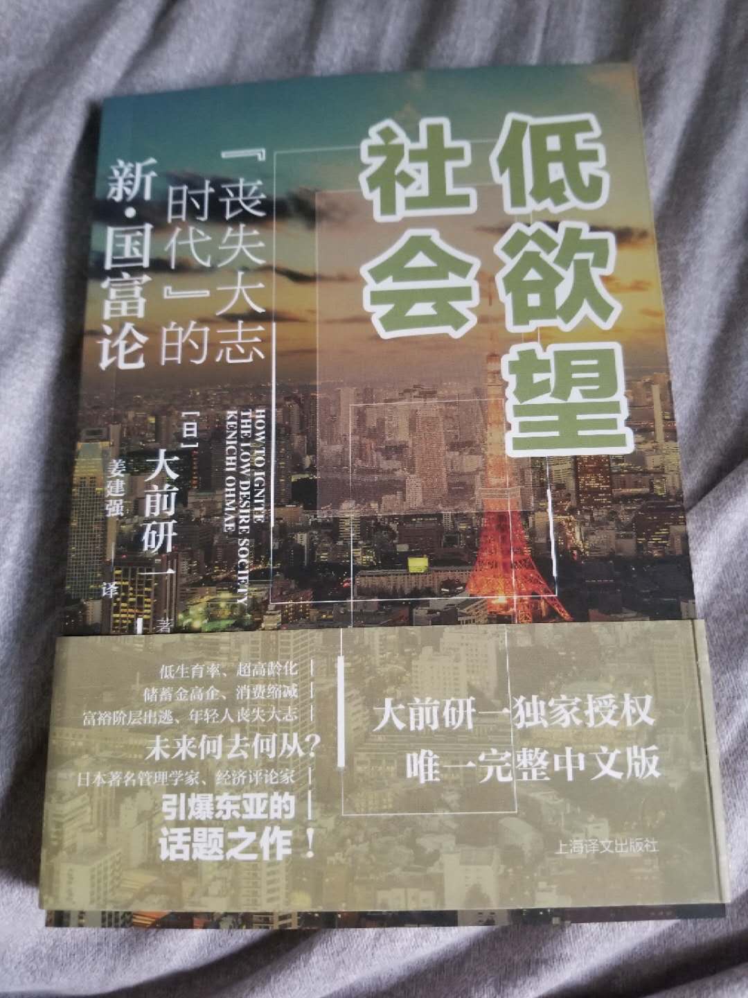 大前研一独家授权未来何去何从低欲望的社会好书