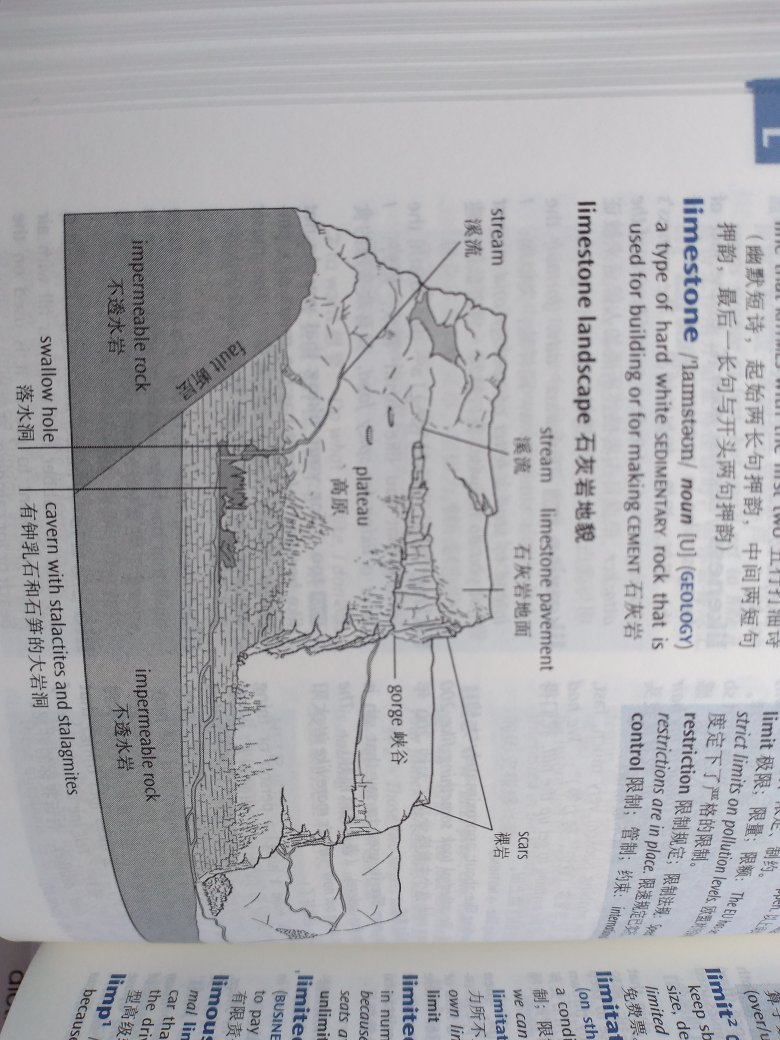 有图，很多，虽然买了才发现用手机查也挺快的?，总体感觉不错