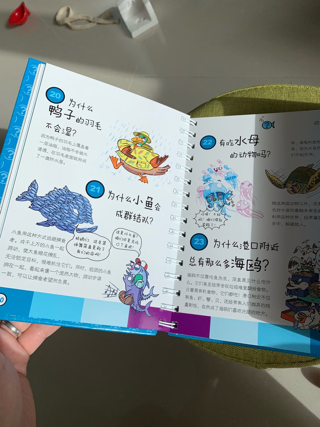 欢迎来到动物问答世界！海星吃什么？鲸鱼是鱼吗？为什么鸭子的羽毛不会湿？蜘蛛是昆虫吗？食人鱼危险吗？一百多个关于动物的为什么，这本书给你和孩子一起探险之旅！