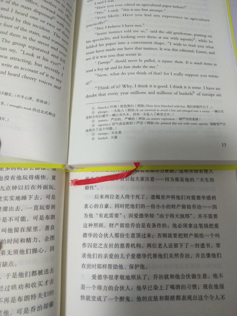 在学英语，配合着看中英文小说，算是逼着自己进步。注解很不错，慢慢来吧，过程肯定需要的。