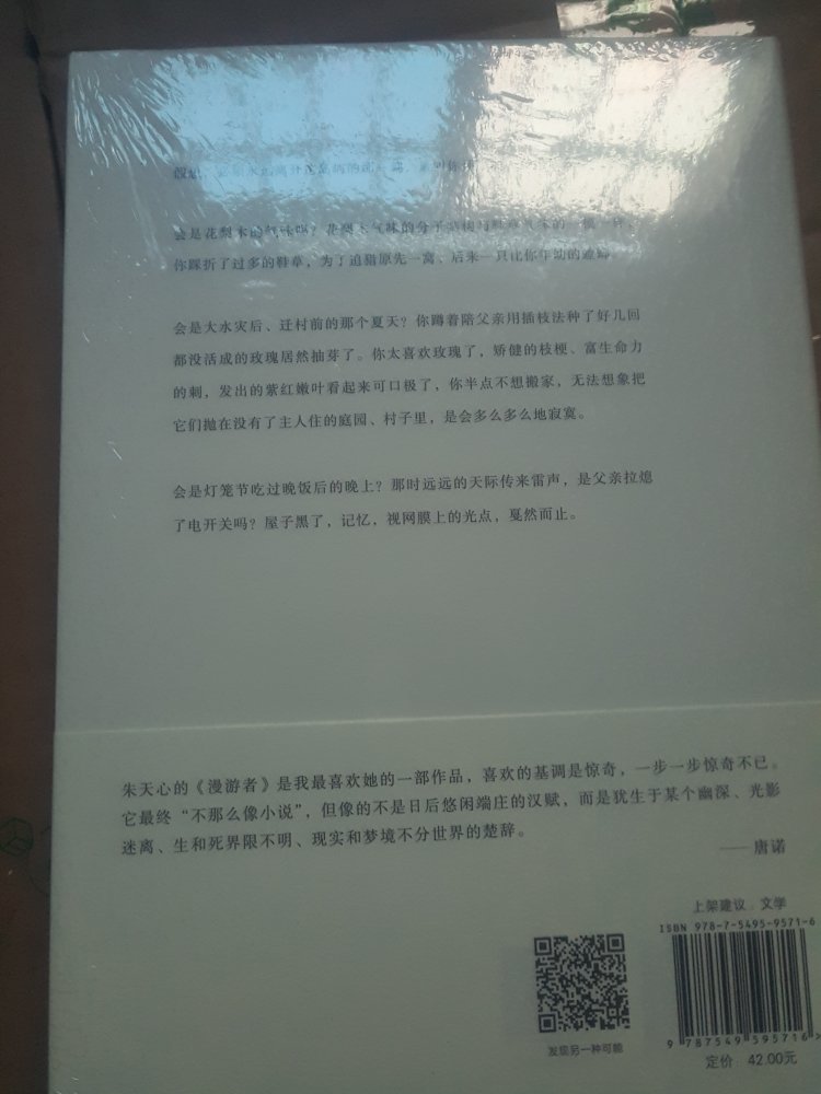 一直都很喜欢，朱天心的文笔，台湾这一代作家的作品很值得一读。