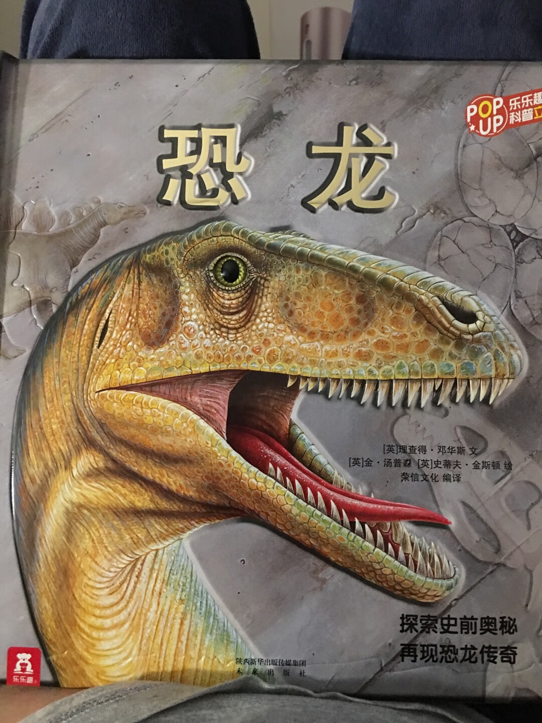给儿子买的，他还小看不懂不过挺好的立体的书都是国外的创意，我也很爱恐龙