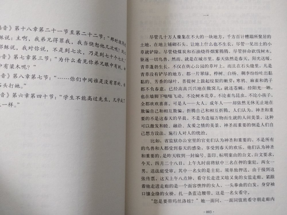 不小心买了两本复活，两本译本，个人更喜欢左边那本，要买的盆友，可以看看图片参考参考。