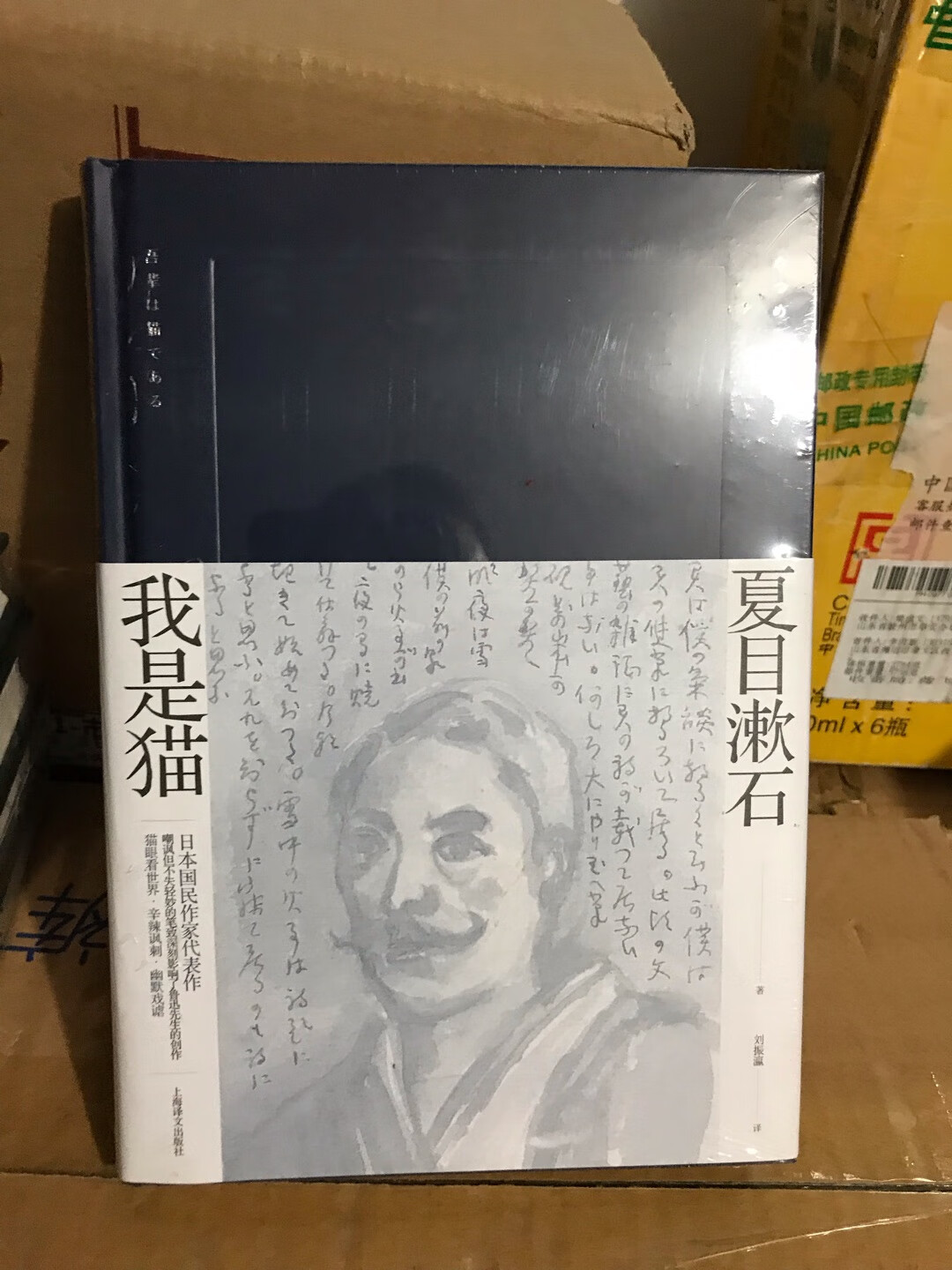 夏目漱石为发泄多年郁愤而写成的长篇小说《我是猫》，淋漓尽致地反映了二十世纪初，~中小资产阶级的思想和生活，尖锐地揭露和批判了明治“文明开化”的资本主义社会。这部作品是以一位穷教师家的猫为主人公，以这只被拟人化的猫的视角来观察人类的心理。这是一只善于思索、有见识、富有正义感又具有文人气质、但至死也没有学会捕捉老鼠的猫。[1]