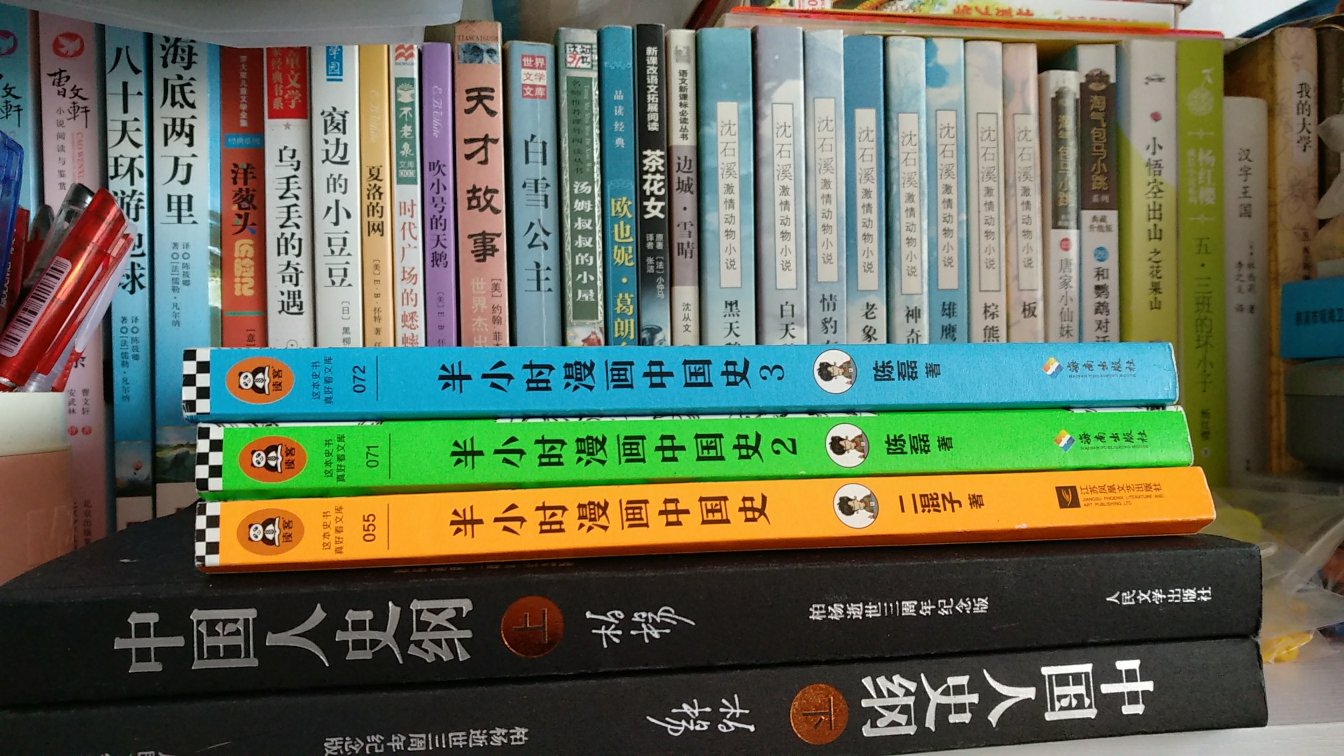 每年618和双十一都是我集中采购图书，日用品和小家电的节日，各种买买买，下月还账单的时候金额就吓人，安慰一下，找个省钱的借口。看到新款的手机，又难耐的手痒，咽口唾沫接着写评论。该买的都买了，其实还有大部分没买，但也没少买，未来半年至少不用为了牙膏，香皂，卫生巾之类的费脑筋了。总之一切都挺好，支持！