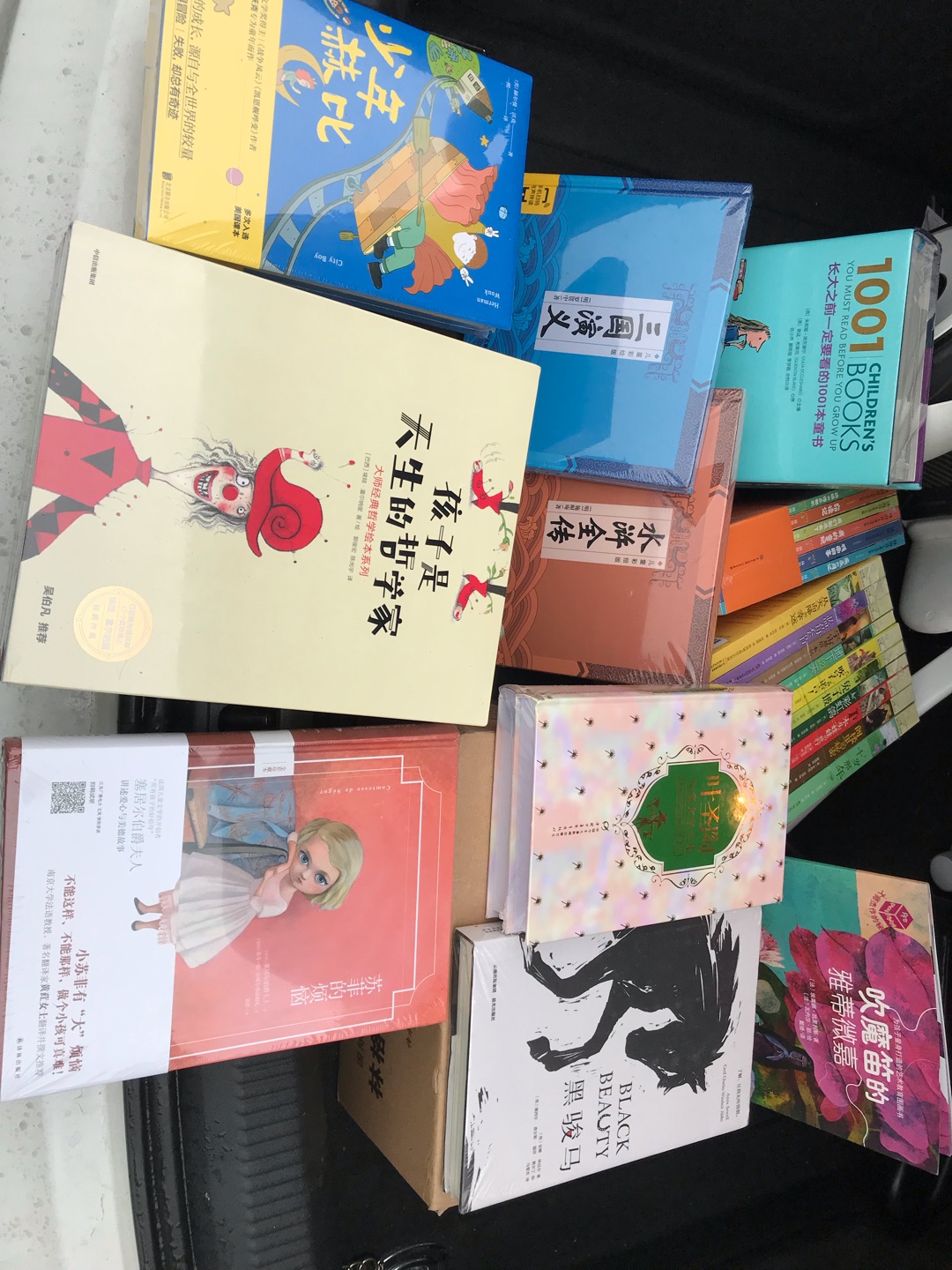 上海书展上发现的一套好书，刚拿到还没拆开，希望孩子拿到了会爱不释手！