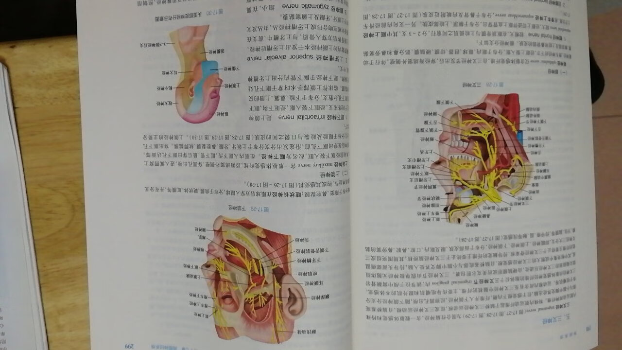 到货的速度真是～速度与激情来形容，10小时都不用就到手了，包装完好，快递小哥服务态度贴心！