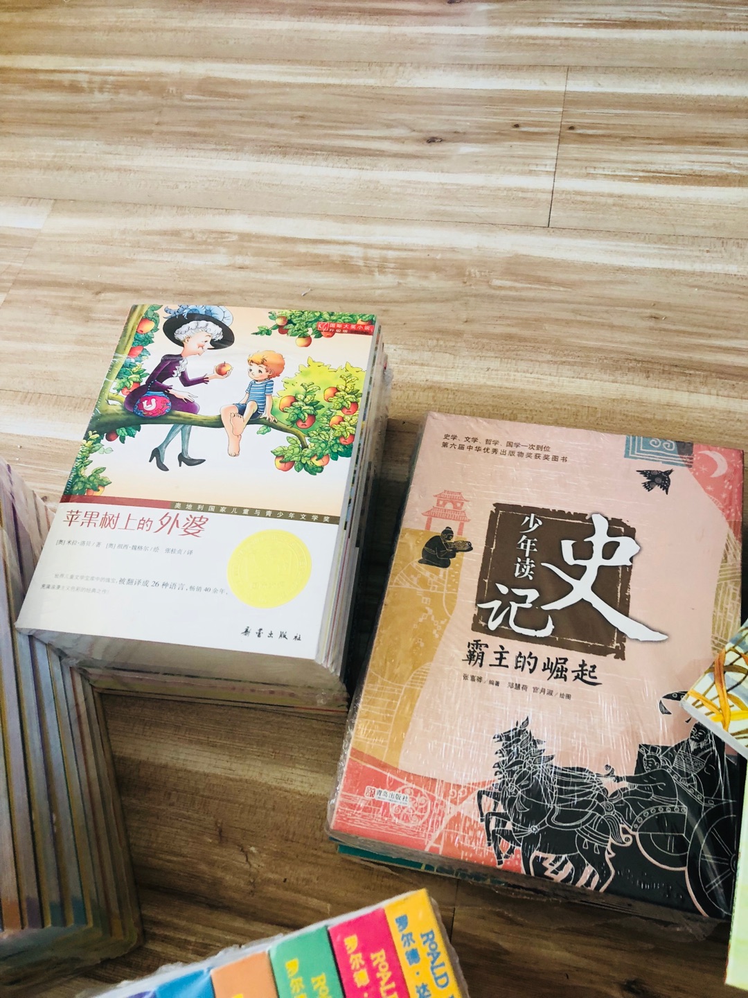 了解中国，学历史，希望孩子会喜欢。最近开始和孩子一起阅读。好事情！