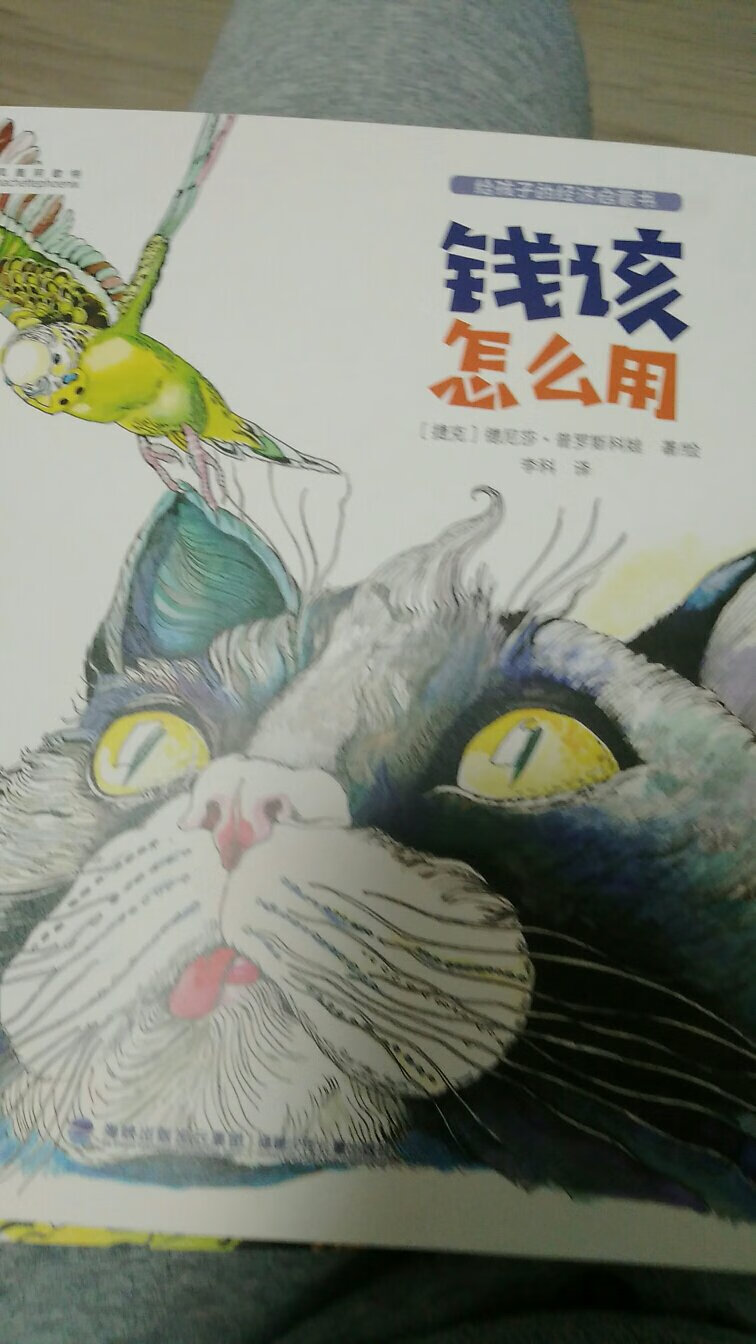 说给孩子买的前的启蒙书吧。还是很好玩的，值得一看。