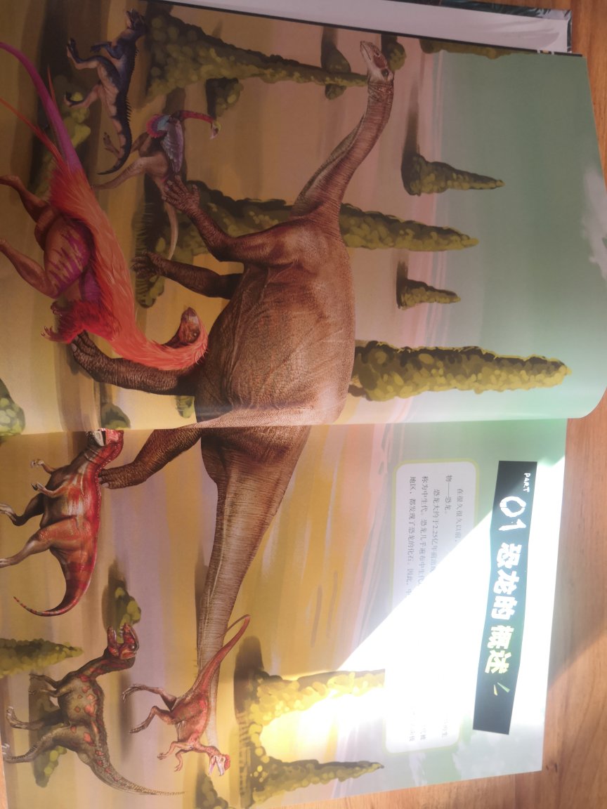 冲着董教授买的这本书。孩子特别喜欢恐龙，这本也是国内第一本专门介绍中国恐龙的百科全书。彩页精美，内容详实。每种恐龙都有详尽的介绍，并且很多趣事。像“后脑”长在脊椎骨上的马门溪龙，像气龙并不是爱生气所以叫气龙，而且因为四川一个调查天然气的工程队首先发现它们的骨头，所以以此命名。孩子们特别喜欢
