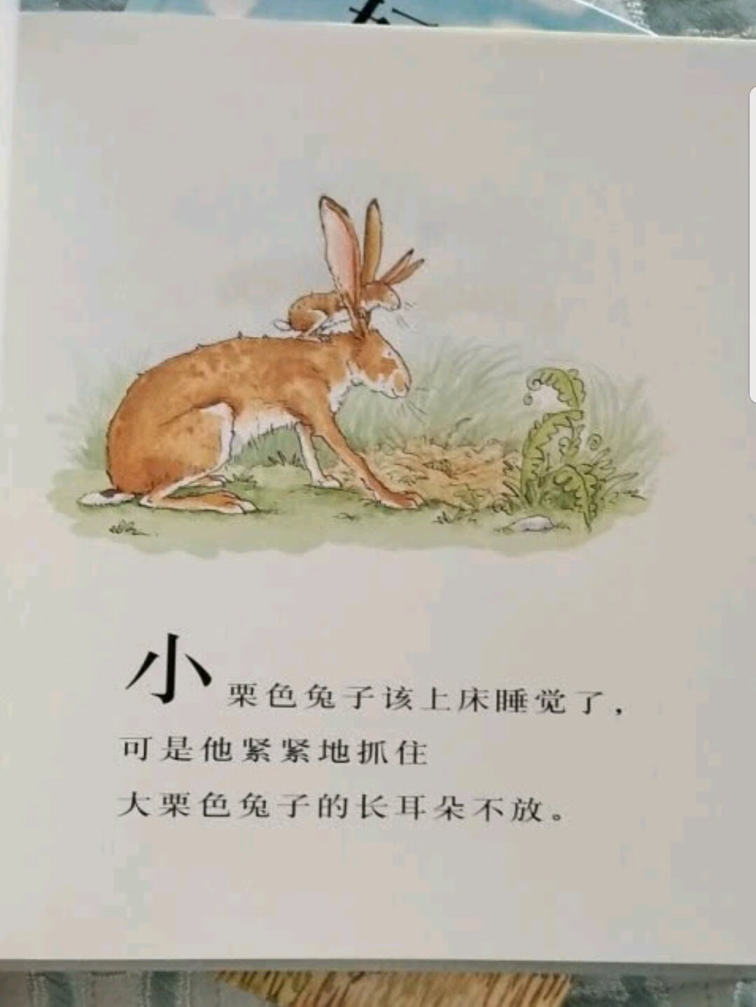 挺好的，是正品，送货速度很快，下次还来买