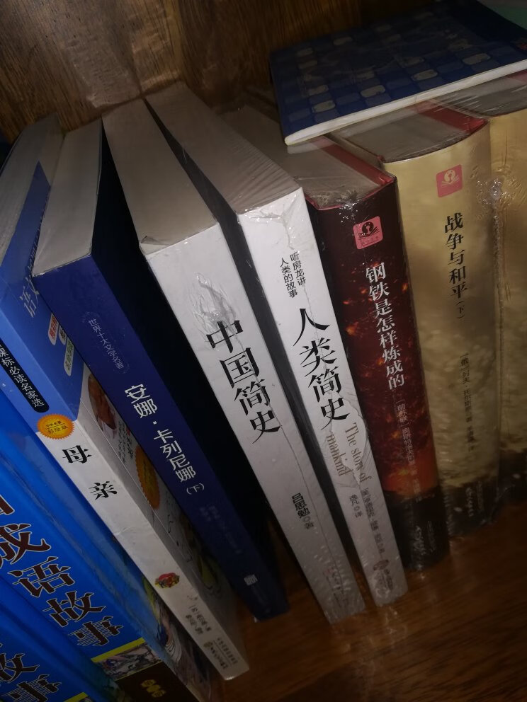 亘古不变，人类伟大前行，从中可窥见一般，是好书呀。