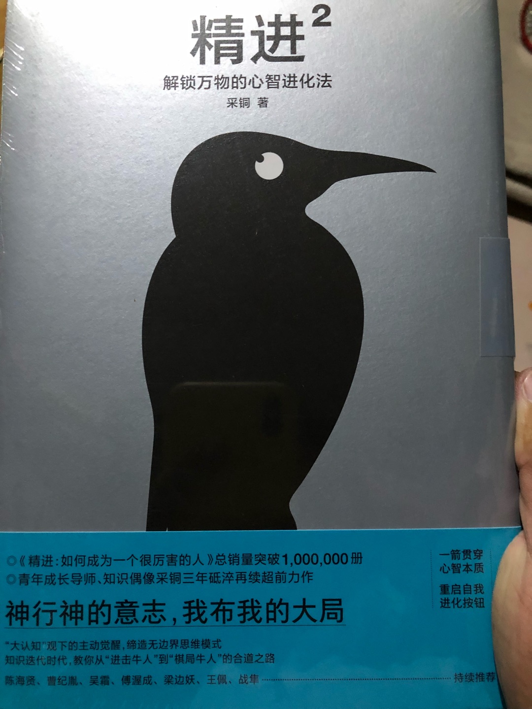 买了这本书的第一本，这是买的第二本畅销书，希望能好看吧！