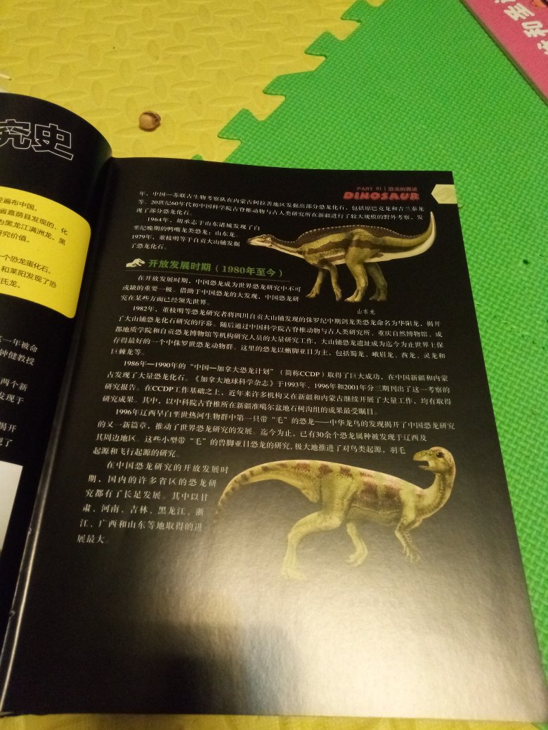 我家娃刚开始看的是时候，大概翻翻就说：这书不好，没有霸王龙。我当时就觉得明明那么喜欢恐龙，却只知道霸王龙，三角龙这些。因为每本恐龙书都只介绍这些恐龙，其实世界上有太多太多恐龙了，之前看的书还是太片面了。这本书是第一本专门介绍中国恐龙的百科全书哦。