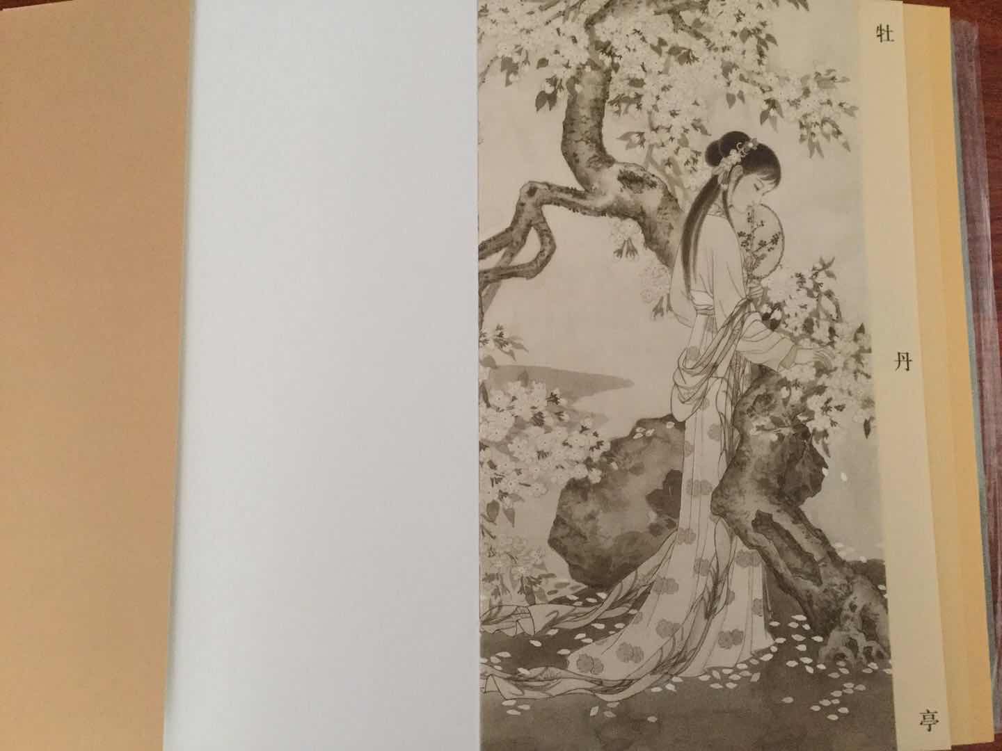 中国古代经典戏曲小说彩绘本。裸脊16开，2018年7月第一版。绘画细腻，制作精美，是一套非常值得收藏的系列丛书。