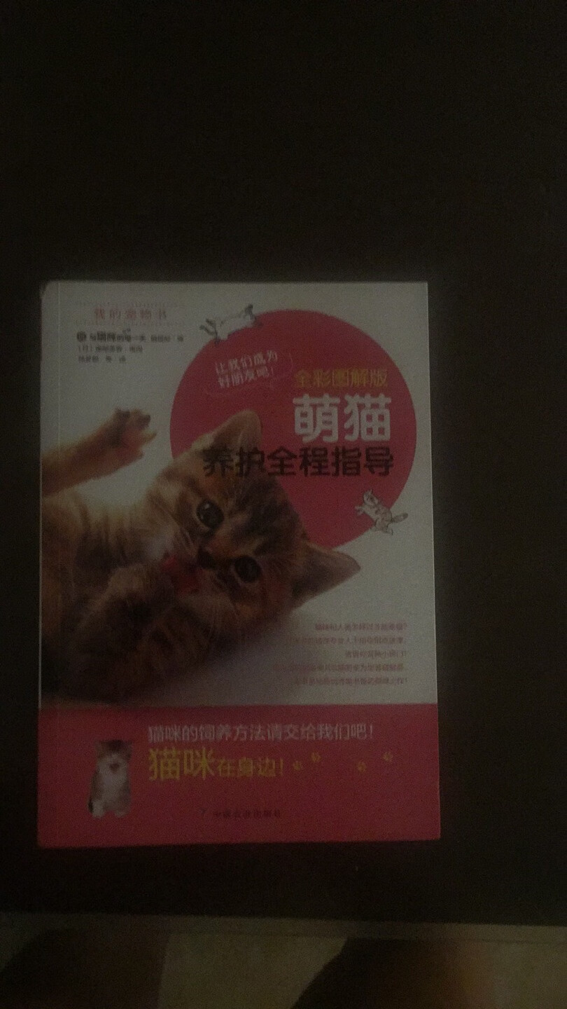 基础书看看也挺好，多了解猫咪的习性