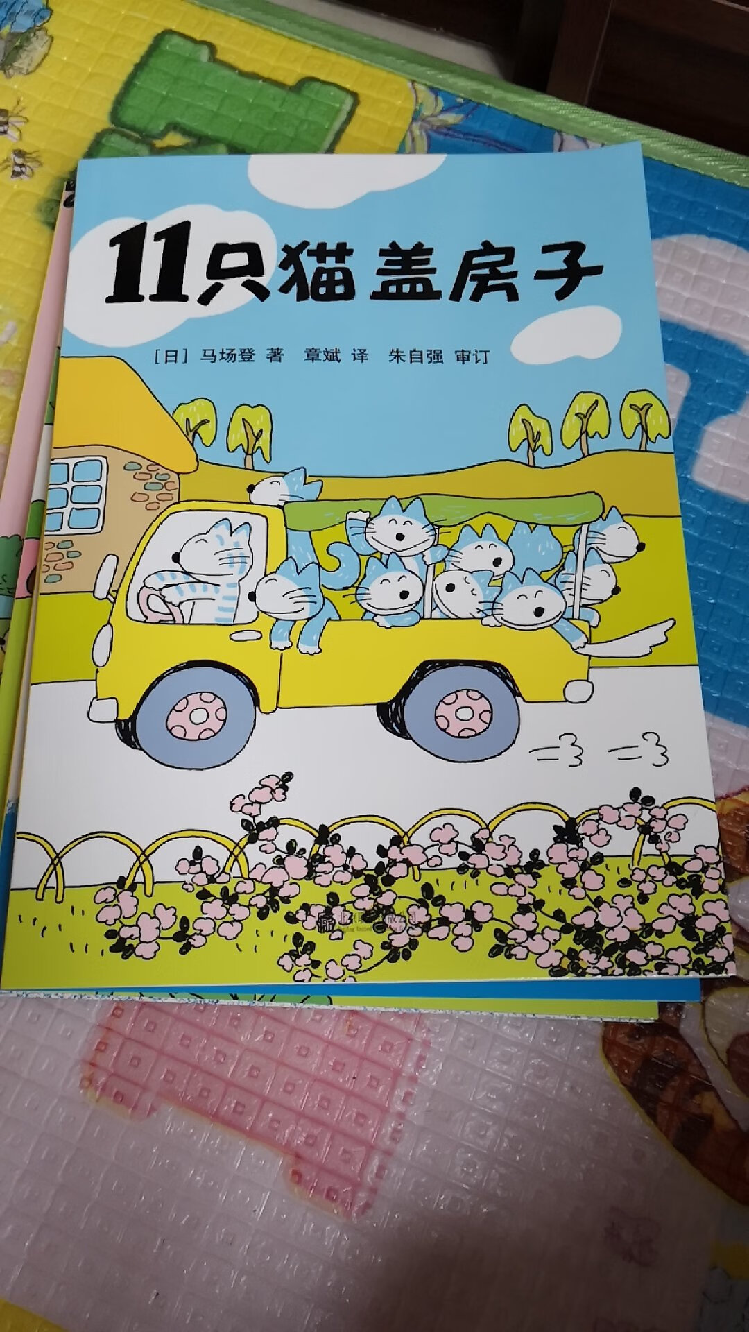 孩子喜欢猫咪就买了这套书，还可以吧