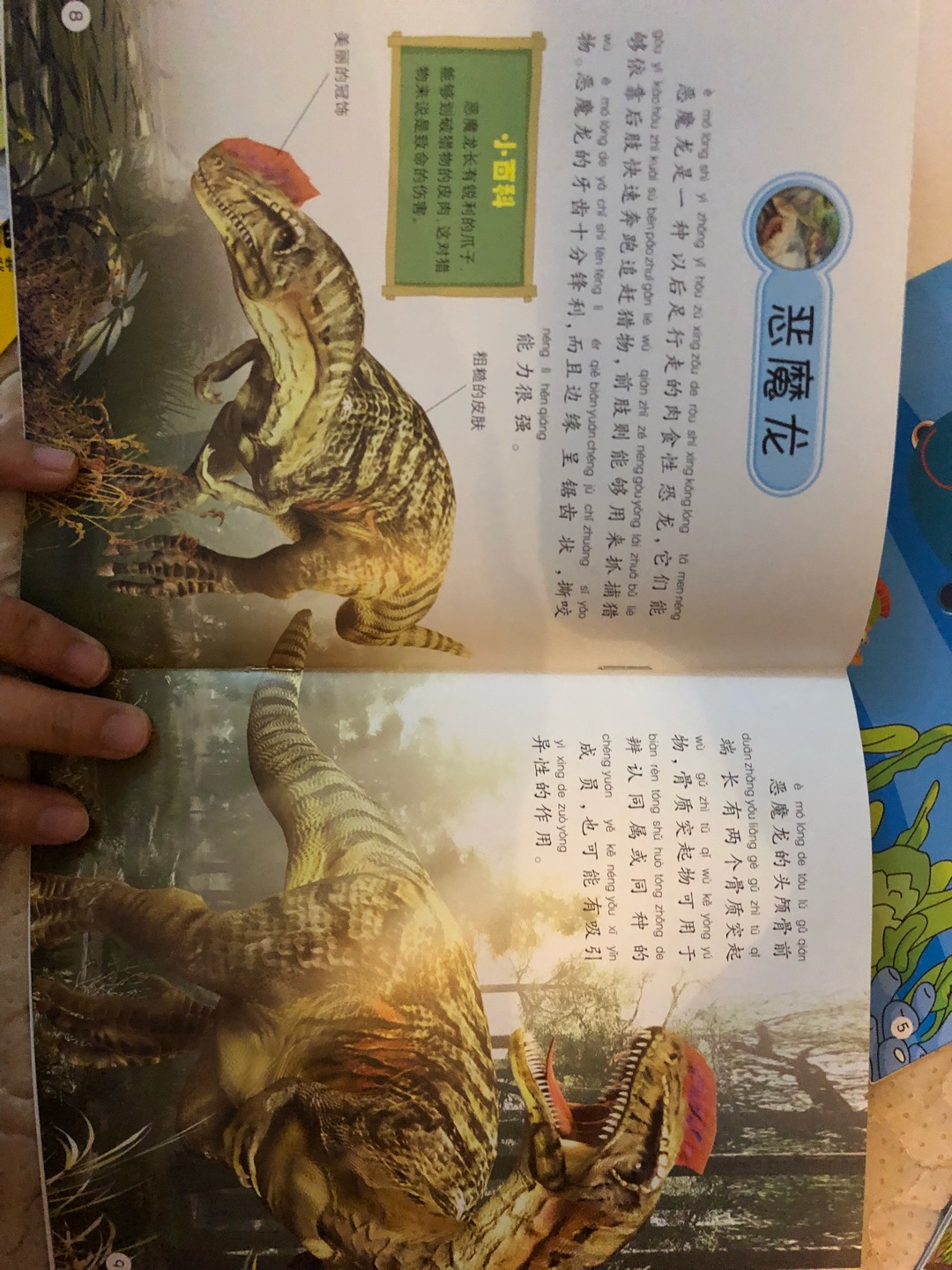 宝宝很喜欢的恐龙书，对恐龙有分类，每一类一本，挨个解释介绍恐龙