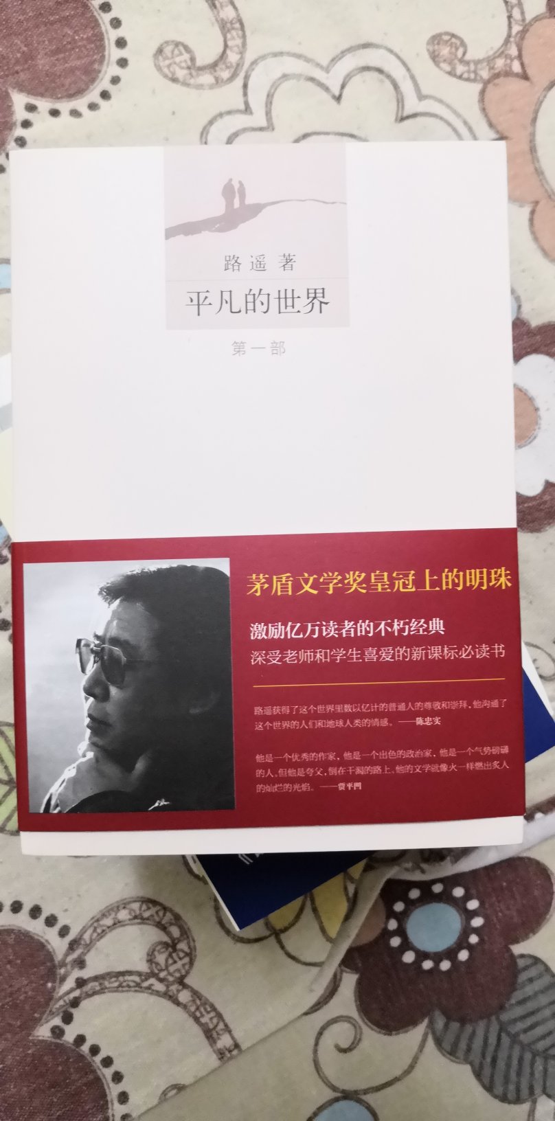 假期买来让孩子读的，学校指定阅读书目。经典中的经典，质量很好，书角没有破损、书籍没有污损，有塑封，很棒！一如既往信赖！