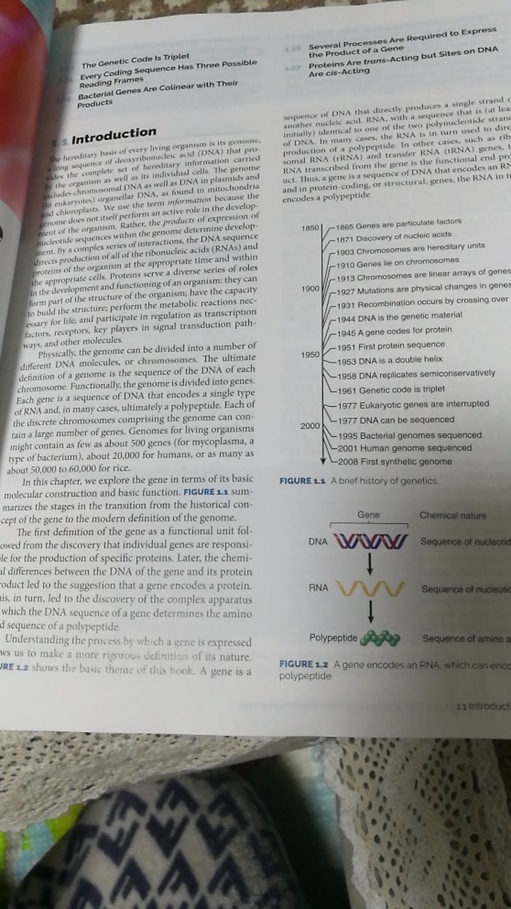 终于买了大名鼎鼎的基因12，眼馋了很久的，虽然有了电子版的，还是买了纸质版的收藏。有时间一定好好拜读一下！