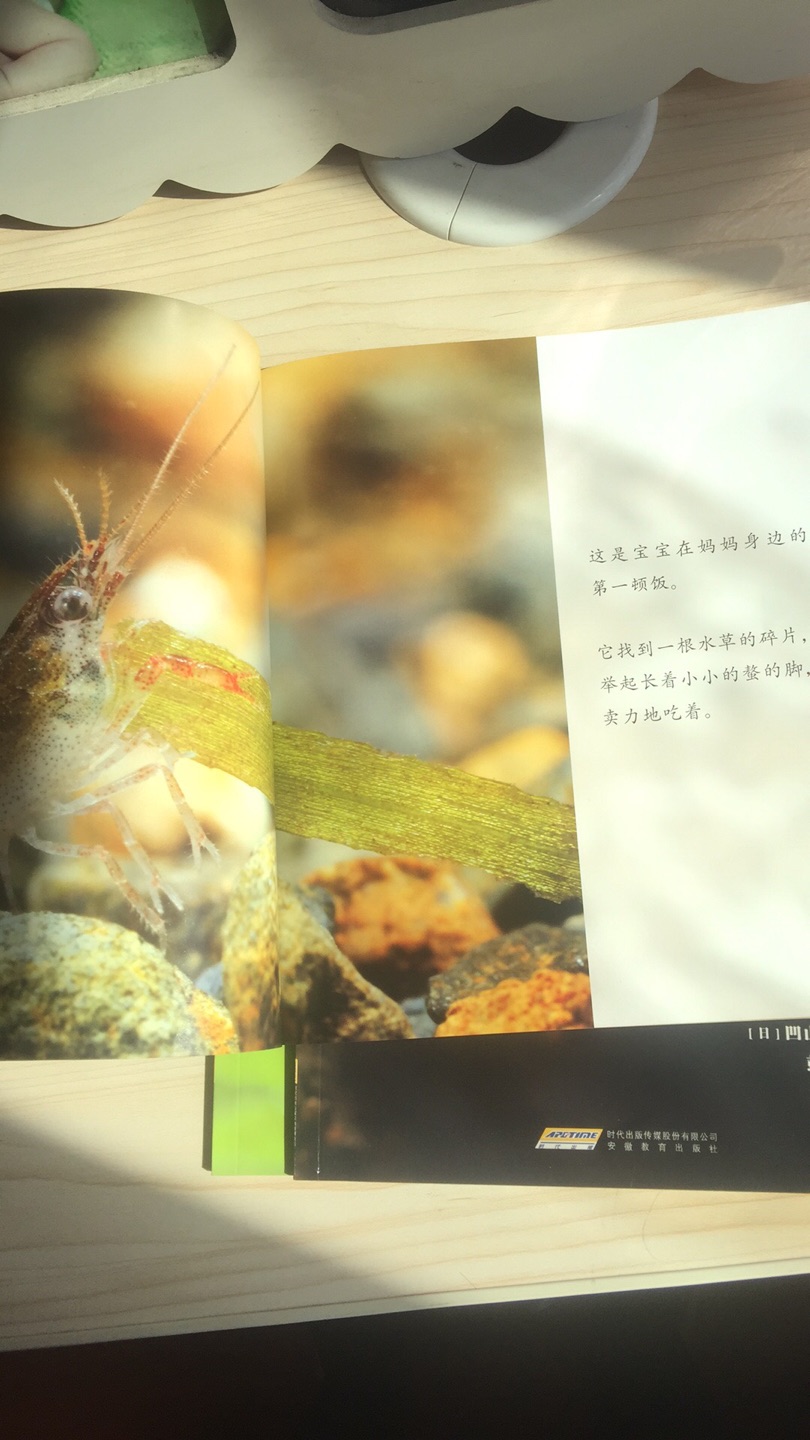 这本系列的书有30本，一本介绍一只昆虫，每张内页都十分的精美，说实话大人都会忍不住的被吸引着翻看下一页讲的是什么。种草这本大自然的探索之旅。