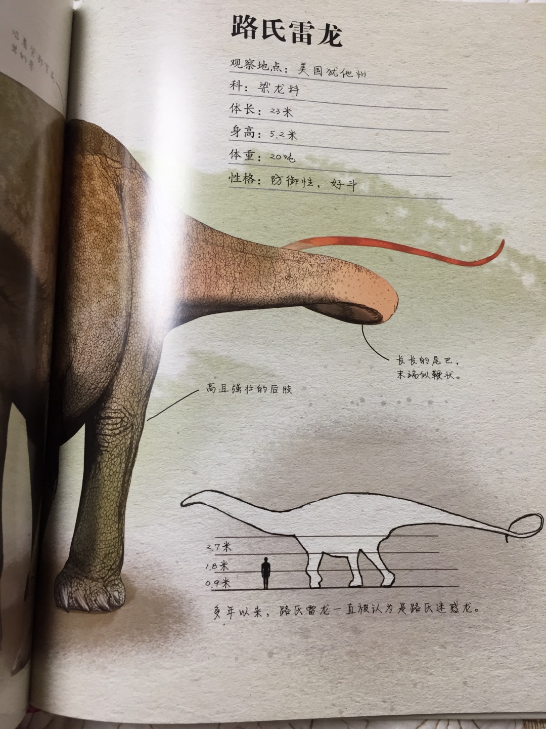 二百余张高清全彩手绘图，全部以化石和现有研究为根据，由“古生物艺术家”画出复原图，为您呈现湮没在时间深处的动植物的外貌、生活习性和行为规律，激发起人类无尽的想象。 　　收录二十余种著名的侏罗纪恐龙档案，包括凶猛的捕食者异特龙、大名鼎鼎的印板始祖鸟、生活在中国的永川龙，你不仅能了解这些恐龙的所属种类、身长、体重、习性，还能看到它们和人类的体型对比，看到每种恐龙的身体细节、生活场景。 　　获得由美国自然科学教师协会选出的2017年美国青少年杰出科普图书。 　　这本书是想象和现实的融合，是艺术和科学强有力合作的证明。 【内容简介】跟我们一起回到人类诞生之前的远古地球，当时庞然大物漫步在地球上，爬行类统治着天空。那是一个壮丽且极度危险的时代——侏罗纪晚期。回到1.5亿年前的火山和史前热带森林。与巨型蜥脚类一起行走，它们每走一步都会从地上传来地震波。与超级捕食者一起奔跑，它们在不断捕食猎物。与早期翼龙一起飞上天空。将当前的古生物学发现和高精度的绘图结合，本书将带领读者展开时光旅行，比以往任何时候更接近史前生物。