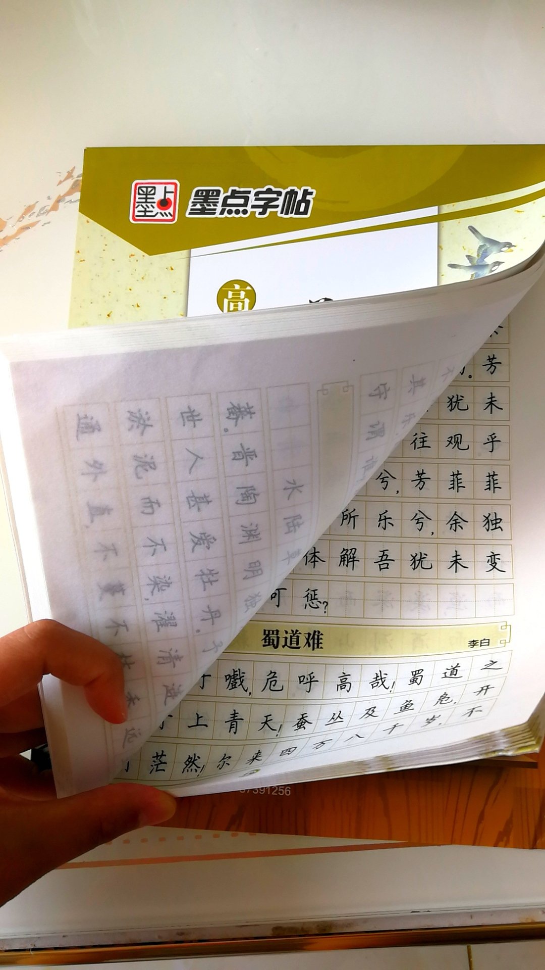 这本字帖厚实，质量极好。非常喜欢。适合练字，也适合用来背诵学习???。。。?